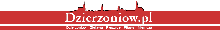 logo strony